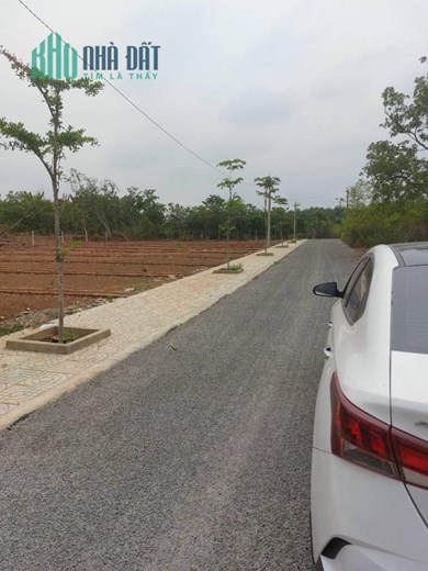 Bán Gấp lô đất thổ cư Tại Ngã 4 Dầu Giây,Thống Nhất, Đồng Nai chỉ 420 triệu sang tên ngay