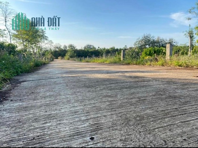 CC kẹt tiền cần bán gấp 506,4m2 đất ở Đak Lak, SHR, 490tr. Lh:0902571499