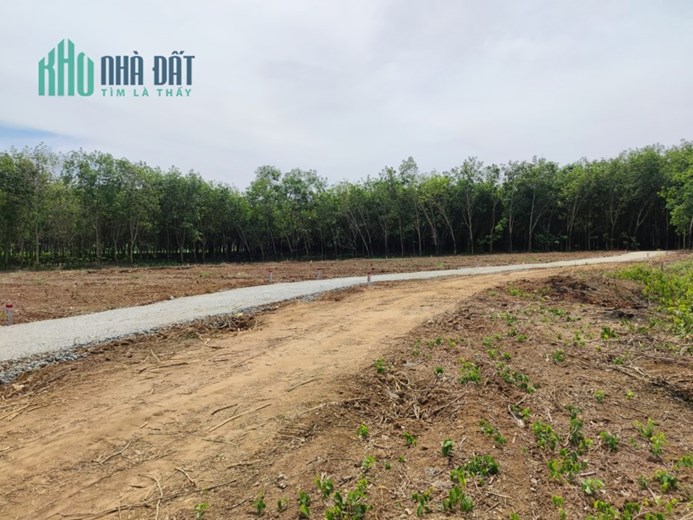 Siêu phẩm đất sào - thời điểm thị trường BĐS nóng
