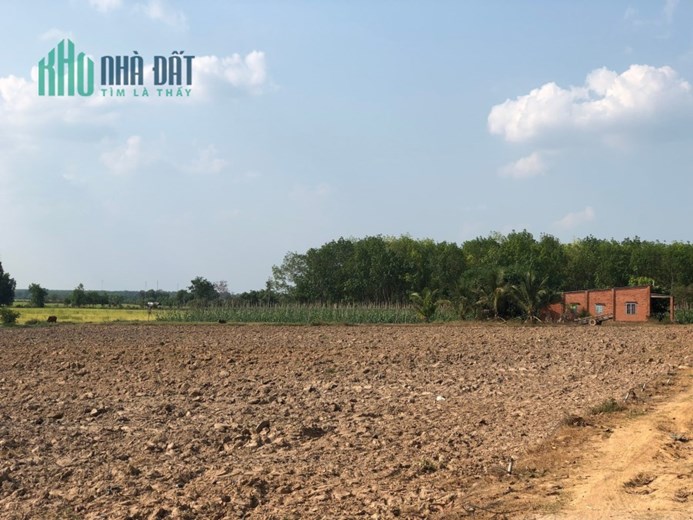 Lợi nhuận tăng từng phút với khi sở hữu lô đất sào ngộp của chủ