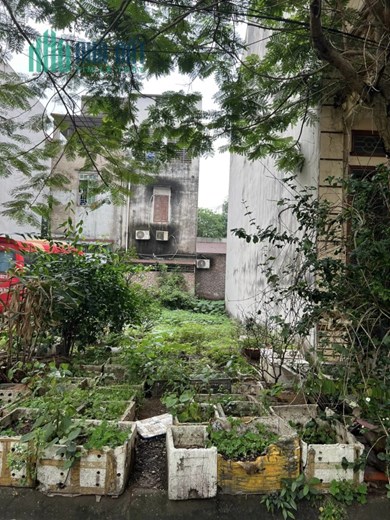 PHỐ BÁC SỸ ( TÔN THẤT TÙNG)- LÀN 2 BÌNH THAN -ĐỐI DIỆN VƯỜN HOA, TRONG LÀNH, THOÁNG ĐÃNG-2 BƯỚC ĐẾN