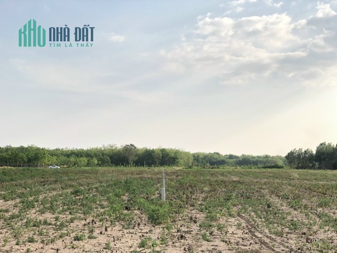 Chính chủ bán đất vườn trồng mì, diện tích gần 3000m2