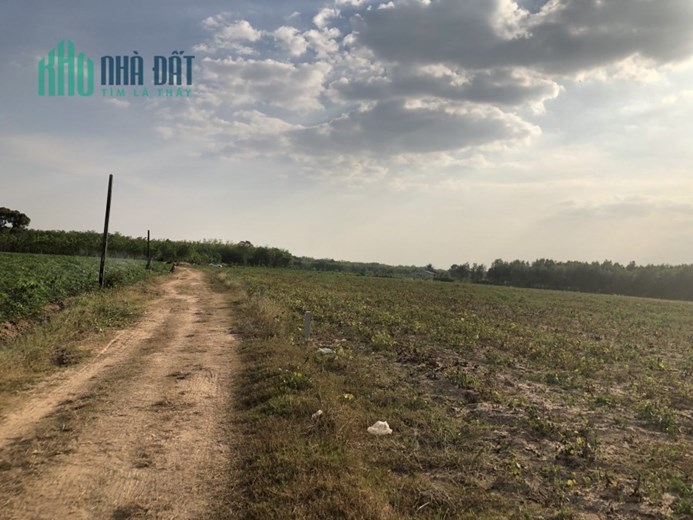 Chính chủ bán đất vườn trồng mì, diện tích gần 3000m2