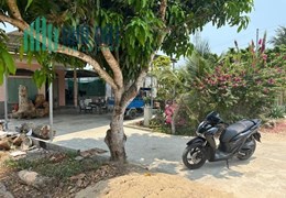Bán Đất Tặng nhà Vườn Tại Suối Cát Cam Lâm