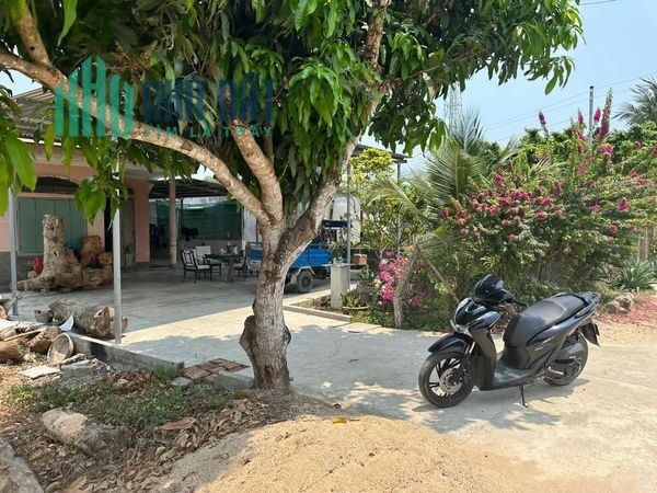 Bán Đất Tặng nhà Vườn Tại Suối Cát Cam Lâm