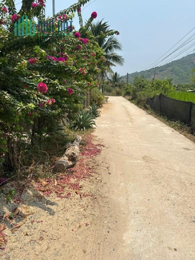 Bán Đất Tặng nhà Vườn Tại Suối Cát Cam Lâm
