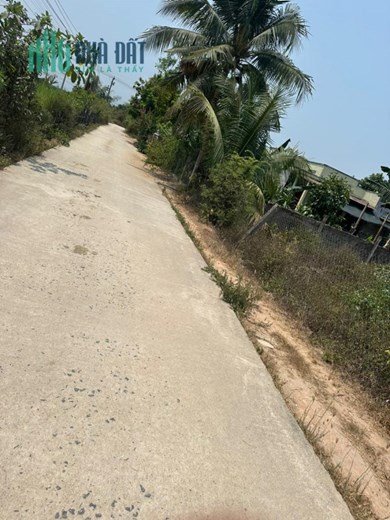 Bán Đất Tặng nhà Vườn Tại Suối Cát Cam Lâm