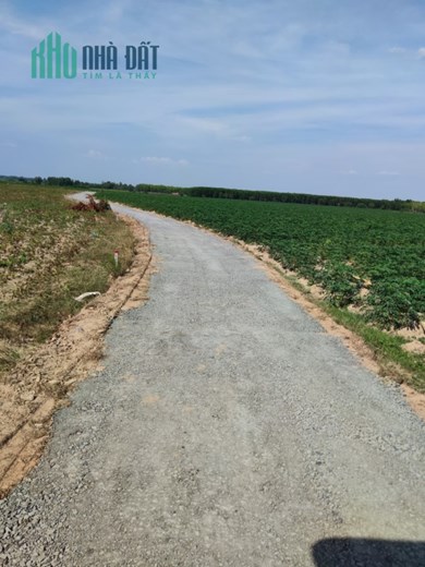 Cần bán nhanh 3 sào đất ngộp ở Tây Ninh