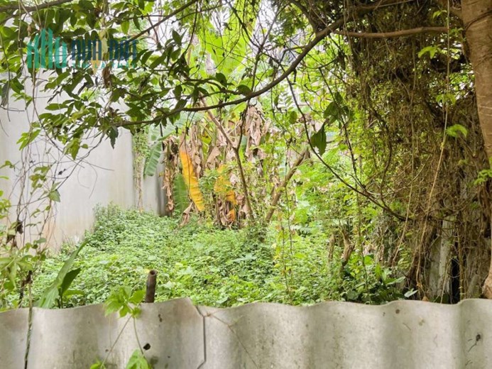 Hiếm, đất Ngọc Lâm, Long Biên, oto vào, thoáng, sát phố, 73m, mặt tiền: 4.5m, 6 tỷ 9