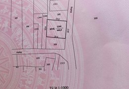 CHÍNH CHỦ CẦN BÁN LÔ ĐẤT MT ĐƯỜNG NGUYỄN VIẾT XUÂN TT THỊ TRẤN PHƯỚC DÂN - NINH PHƯỚC - NINH THUẬN