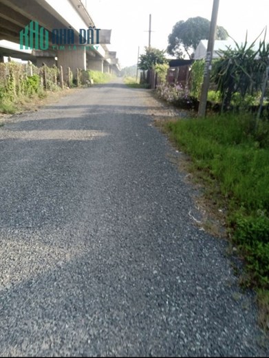 Chính chủ cần bán 1000m2 tại ấp Cầu Tre,xã Lợi Bình Nhơn, TP Tân An, Long An
