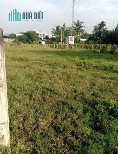 Chính chủ cần bán 1000m2 tại ấp Cầu Tre,xã Lợi Bình Nhơn, TP Tân An, Long An