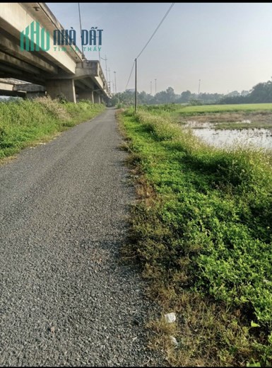 Chính chủ cần bán 1000m2 tại ấp Cầu Tre,xã Lợi Bình Nhơn, TP Tân An, Long An