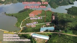 Chính Chủ Cần Bán Lô Đất Mặt Tiền Vị Trí Đẹp Tại Lâm Đồng.