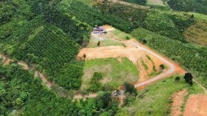 Chính Chủ Cần Bán Lô Đất Vị Trí View Đẹp Tại Lâm Đồng.