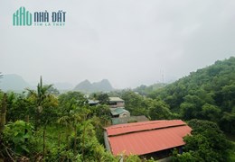 Bán gấp lô đất có diện tích 1,1ha trong đó có 200m2 thổ cư có vị trí cực đẹp sẵn vườn cây, ao cá