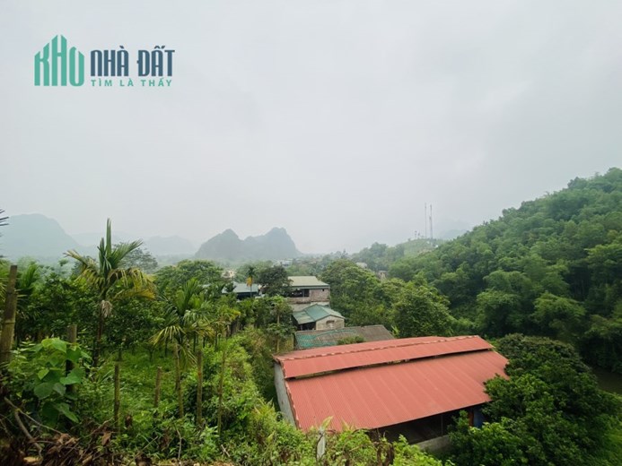Bán gấp lô đất có diện tích 1,1ha trong đó có 200m2 thổ cư có vị trí cực đẹp sẵn vườn cây, ao cá