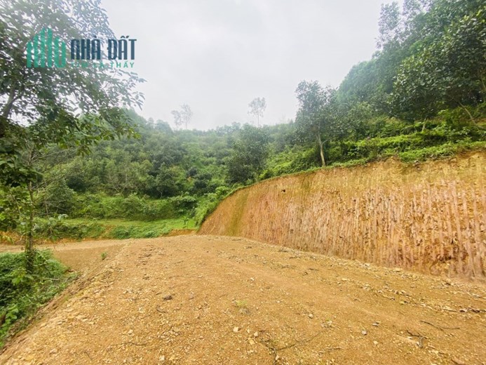 Bán gấp lô đất có diện tích 1,1ha trong đó có 200m2 thổ cư có vị trí cực đẹp sẵn vườn cây, ao cá