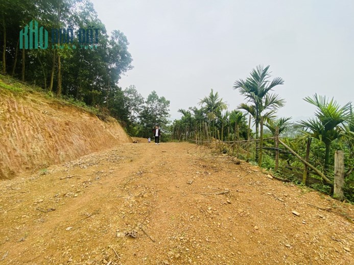 Bán gấp lô đất có diện tích 1,1ha trong đó có 200m2 thổ cư có vị trí cực đẹp sẵn vườn cây, ao cá