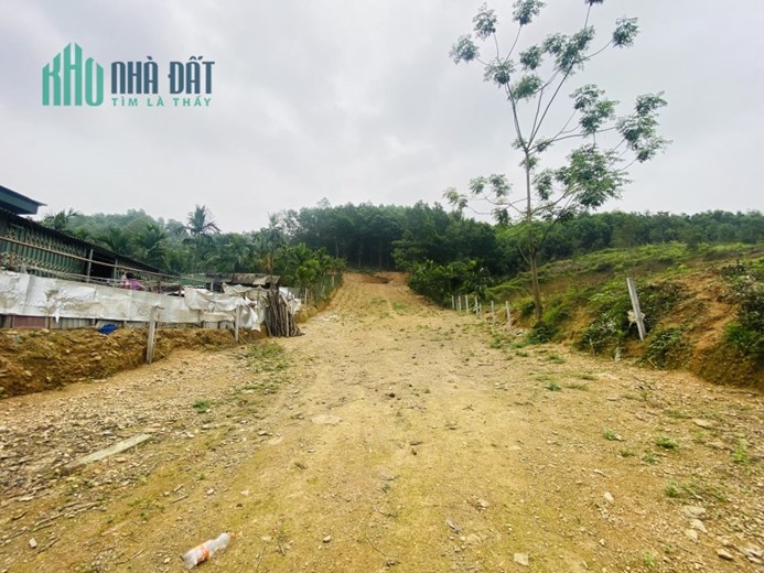 Bán gấp lô đất có diện tích 1,1ha trong đó có 200m2 thổ cư có vị trí cực đẹp sẵn vườn cây, ao cá