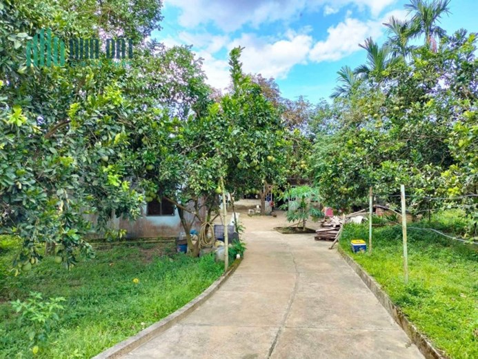 Diện tích: 100 Hecta Hoà Vang Đà Nẵng giá 130 tỷ TL