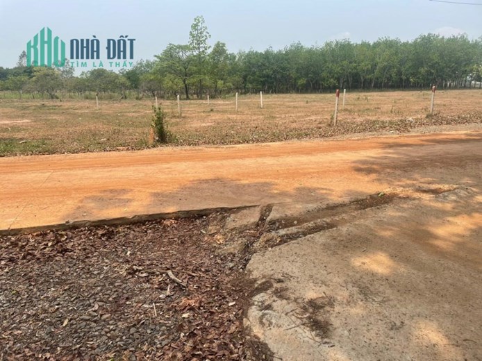 Đất Bình Phước chính chủ