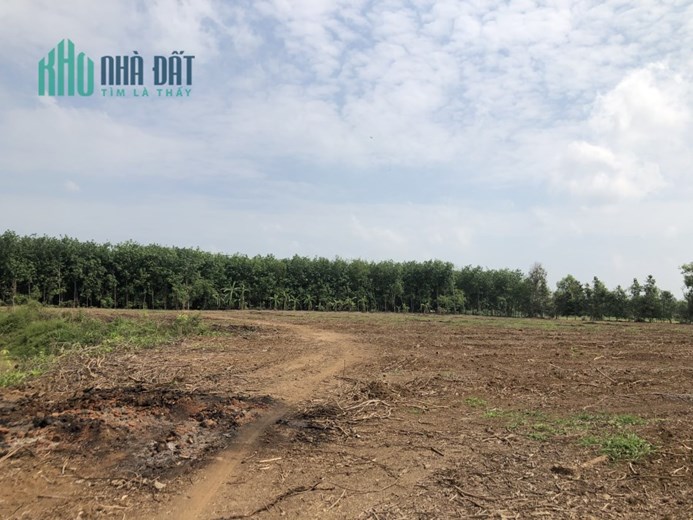 BÁN LÔ ĐẤT ĐỂ TRẢ NỢ TÌM KIẾM KHÁCH MUA THIỆN CHÍ