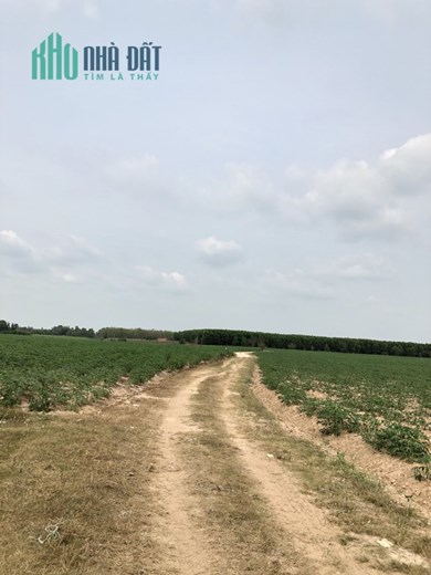 THỜI ĐIỂM NÀY MUA CÓ LỜI CHỨ BÁN KHÔNG CÓ LỜI
