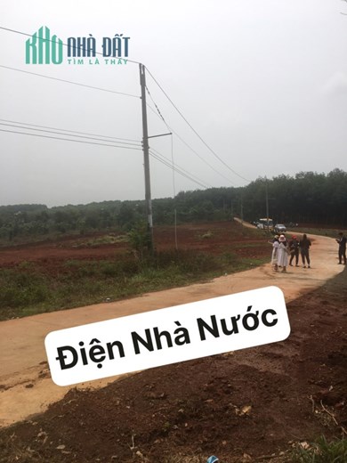 Rẻ Quá Rẻ ,Bình Phước Đất Thổ Cư , Sổ Sẵn 250tr