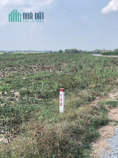 CHỦ CẦN BÁN GẤP 1465m2 Ở TÂY NINH, GIÁ TRỌN SỔ 530TR, SHR