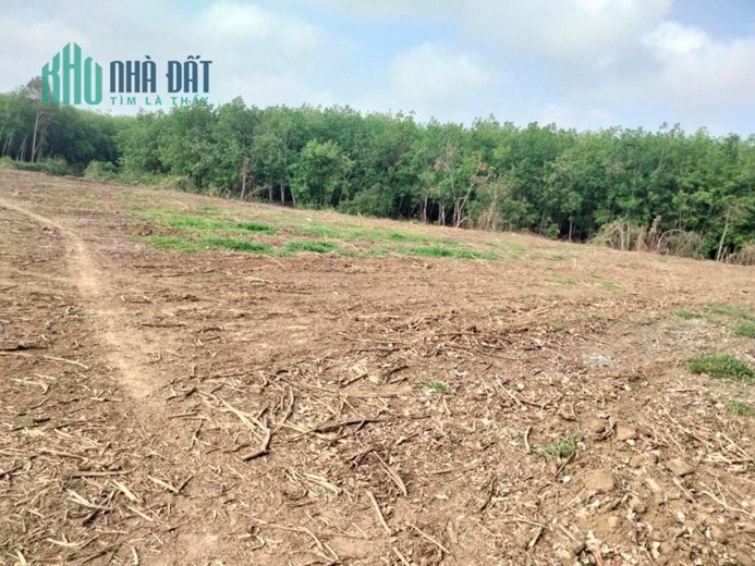 Chỉ còn vài lô đất Tây Ninh giá rẻ - Sở hữu ngay để đầu tư tương lai