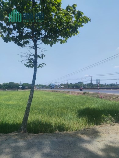 BIẾT NHIỀU NHƯNG CÓ BIẾT EM ĐANG BÁN MIẾNG ĐẤT RẺ NHƯ CHO KHÔNG NÈ!!