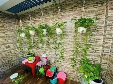 Cần cho thuê nhà Hẻm 80 Nguyễn Trãi,DT Đất 100m2, 1 trệt 3 lầu, 6PN