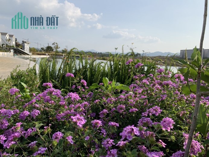 Chỉ 800 triệu có ngay 120m2 full thổ, dân cư đông đúc