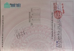 Đất 82m2 (5,5x15) hẻm 6m Đg Dương Đình Cúc giá 3ty450tr