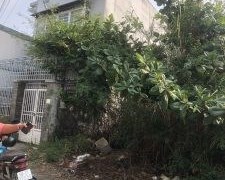 chính Chủ Cần Bán Lô Đất Mặt Tiền Vị Trí Đẹp Tại Xã Phú Xuân, Huyện Nhà Bè