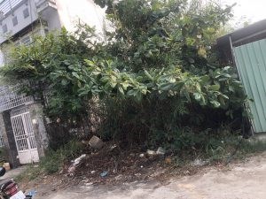 chính Chủ Cần Bán Lô Đất Mặt Tiền Vị Trí Đẹp Tại Xã Phú Xuân, Huyện Nhà Bè