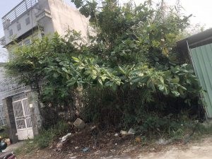 chính Chủ Cần Bán Lô Đất Mặt Tiền Vị Trí Đẹp Tại Xã Phú Xuân, Huyện Nhà Bè
