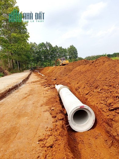 Đất sổ hồng Ngã 4 Dầu Giây,Đồng Nai, chỉ 420 triệu công chứng ngay