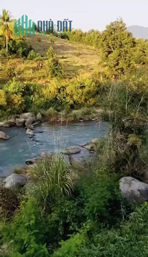 Sở Hữu Ngay Lô Đất Madagui Đẹp - Vị Trí Đắc Địa Tại Xã Hà Lâm - Tỉnh Lâm Đồng