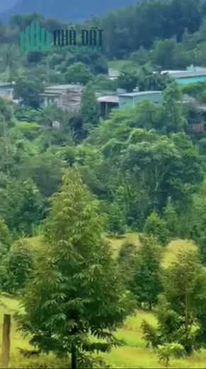 Sở Hữu Ngay Lô Đất Madagui Đẹp - Vị Trí Đắc Địa Tại Xã Hà Lâm - Tỉnh Lâm Đồng