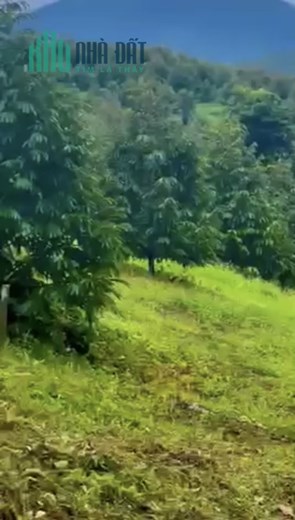 Sở Hữu Ngay Lô Đất Madagui Đẹp - Vị Trí Đắc Địa Tại Xã Hà Lâm - Tỉnh Lâm Đồng