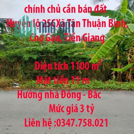 Đất chính chủ cần bán đất  Huyện lộ 25C, Xã Tân Thuận Bình, Chợ Gạo, Tiền Giang