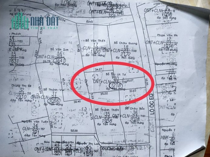 Đất chính chủ cần bán đất  Huyện lộ 25C, Xã Tân Thuận Bình, Chợ Gạo, Tiền Giang
