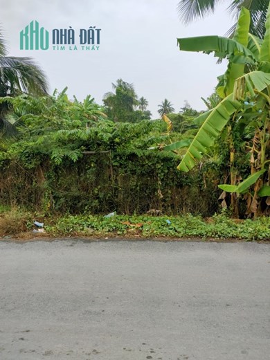 Đất chính chủ cần bán đất  Huyện lộ 25C, Xã Tân Thuận Bình, Chợ Gạo, Tiền Giang