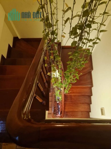 Nhà đẹp ngõ 20 Mỹ Đình, Nam Từ Liêm, 10m ra mặt ngõ, 40m2, giá 4.2 tỷ