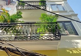 Nhà phân lô ô tô tránh Lạc Trung 40m2, 5 tầng, kinh doanh văn phòng, phòng khám