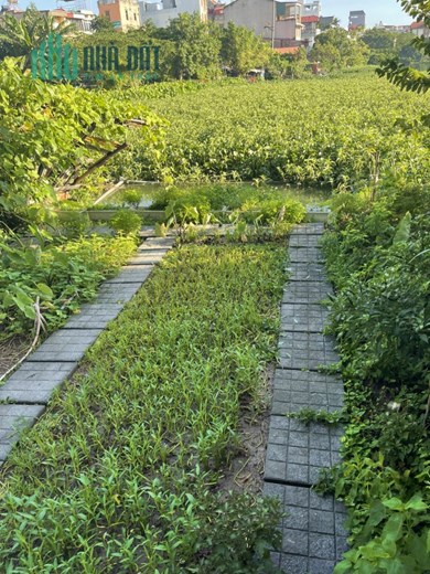Siêu hiếm view hồ, đất phân lô Giải Phóng, SD 100m2, ô tô tránh chạy vòng quanh, 8.5 tỷ.