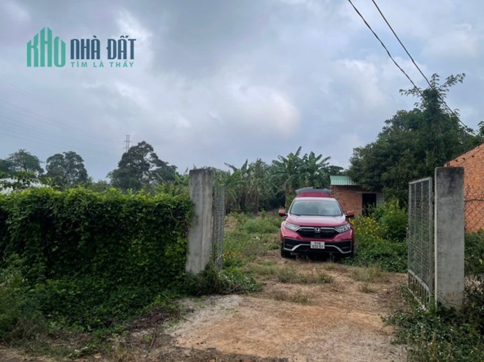 Bán vườn trái cây 2035m, 50m thổ cư, tại Bàu Chinh, Châu Đức  Bà Rịa - Vũng Tàu