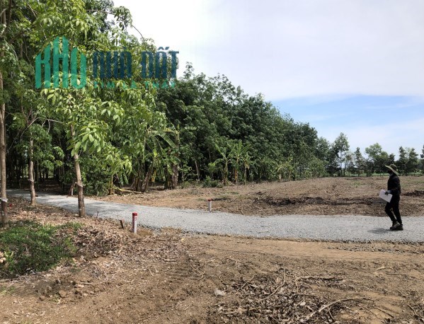 Đầu tư tiềm năng cho siêu phẩm đất vườn